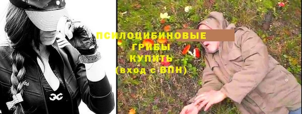 дживик Алексеевка